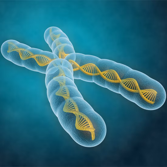 Sciex Genomelab Gexp Chromosome 550 Image3