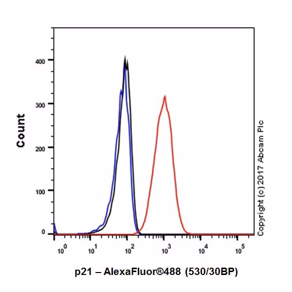 Flow cytometry graph showing p21 expression in fixed RAW 264.7 mouse macrophage cells stained with p21 antibody (red) compared to isotype control (black) and unstained cells (blue).