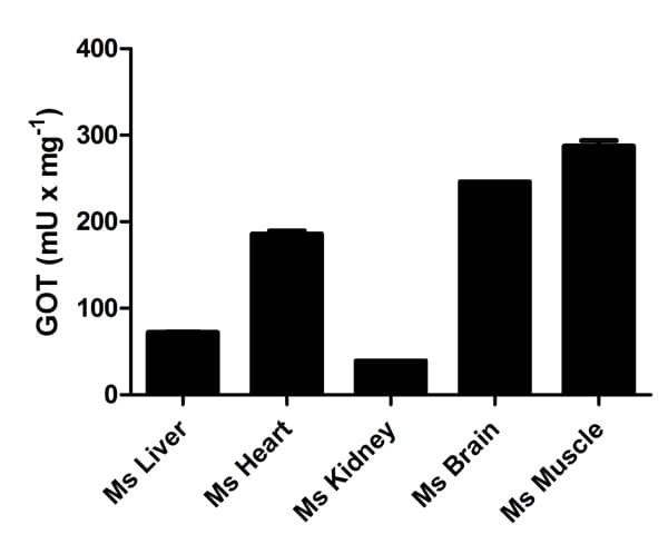 Aspartate Aminotransferase Activity Assay Kit(AB105135)
