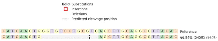 Human AGO2 knockout HEK-293 cell line(AB277162)