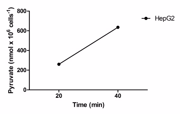 Functional study showing pyruvate quantification in cell lysate with Alanine Transaminase Activity Assay Kit (ab105134) at 20 and 40 mins, nmol/1M cells