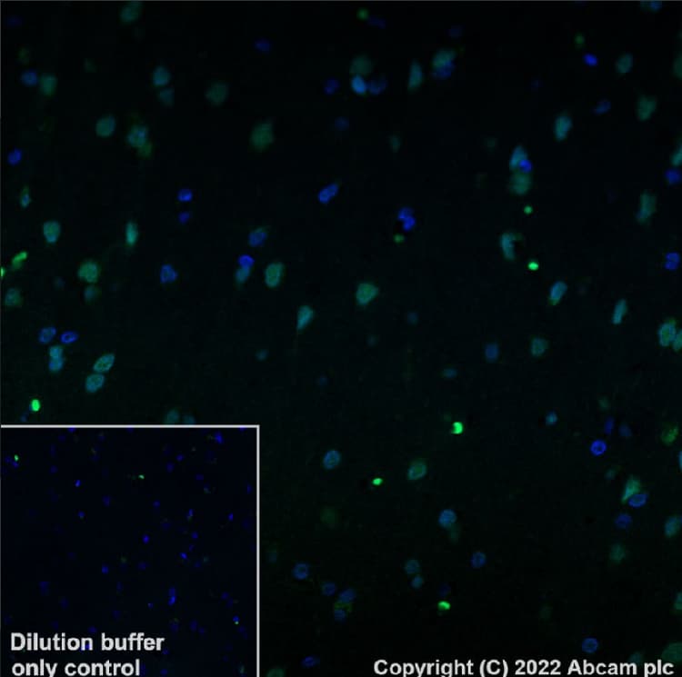 Antigen Retrieval Buffer (100X Tris-EDTA Buffer, pH 9.0)(AB93684)