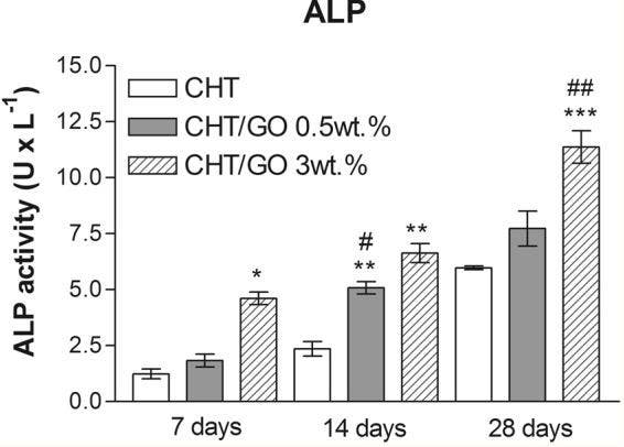 Alkaline phosphatase activity in cells cultured in 3D chitosan-graphene oxide scaffolds over 28 days.