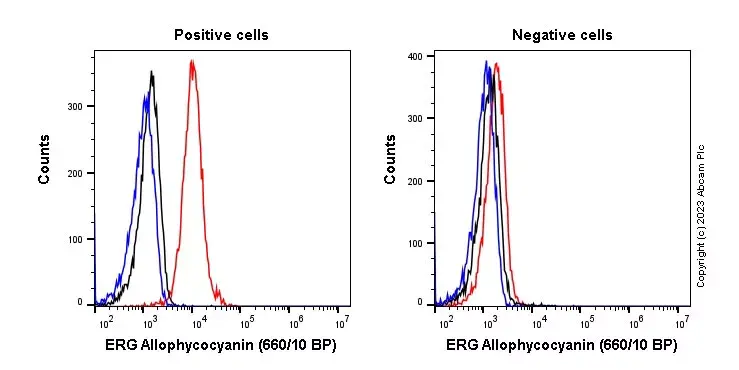 APC Rabbit IgG, monoclonal [EPR25A] - Isotype Control(AB232814)