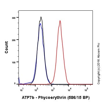 PE Anti-ATP7b antibody [EPR6794](AB211985)