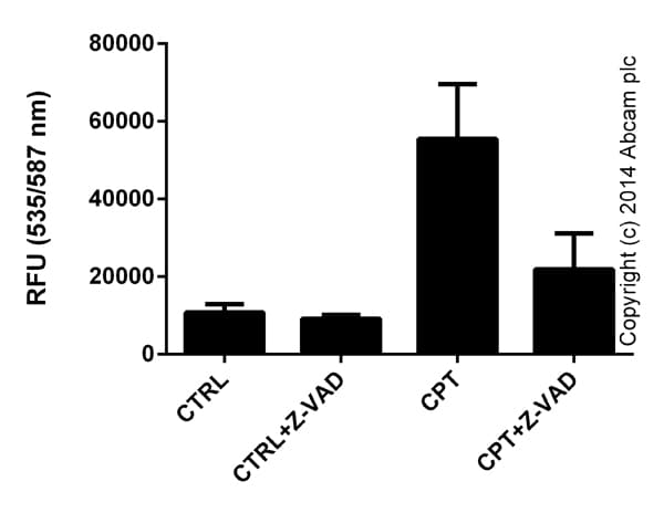 Cleaved Caspase-3 Staining Kit (Red)(AB65617)