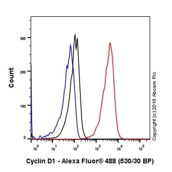 Anti-Cyclin D1 antibody [SP4](AB16663)