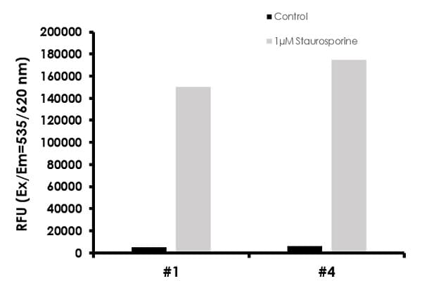 Caspase-3/7, Caspase-8 and Caspase-9 Multiplex Activity Assay Kit (Fluorometric)(AB219915)