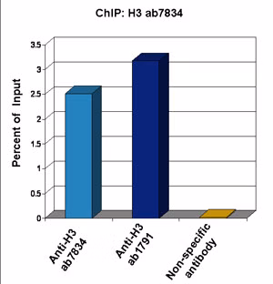 Chromatin from Xenopus laevis oocytes was immunoprecipitated with antibodies against H3 and analyzed by real-time PCR.