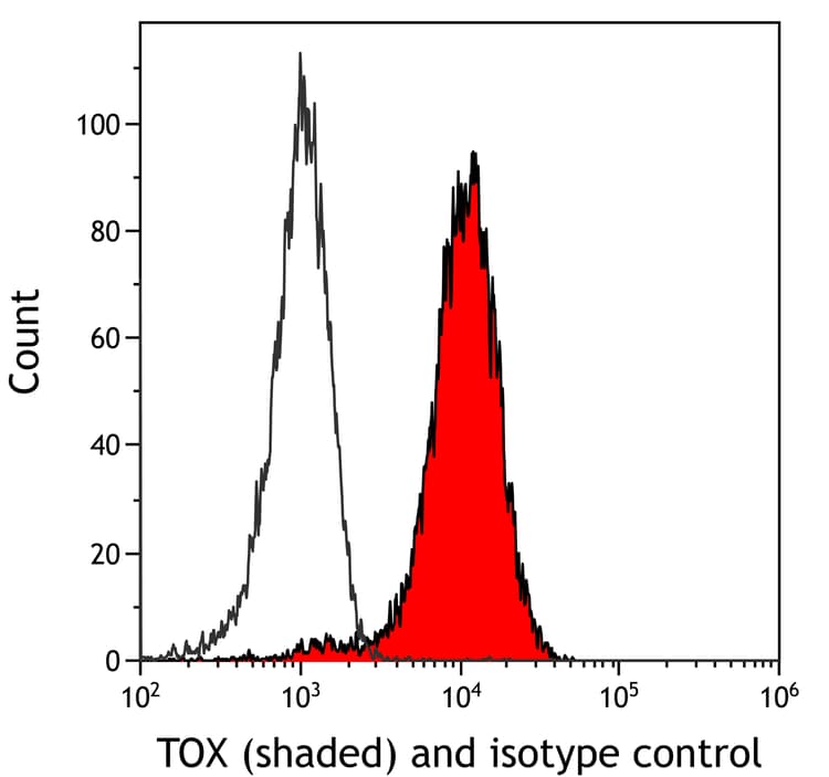 Anti-TOX antibody [BLR212K] - BSA free(AB314043)