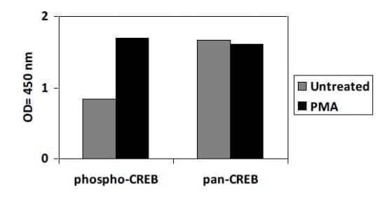 Phospho-CREB (S133) and Total CREB ELISA Kit(AB279764)