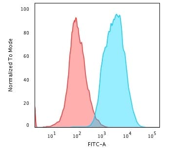 Anti-pan Cytokeratin antibody [PAN-CK (Cocktail)](AB215838)