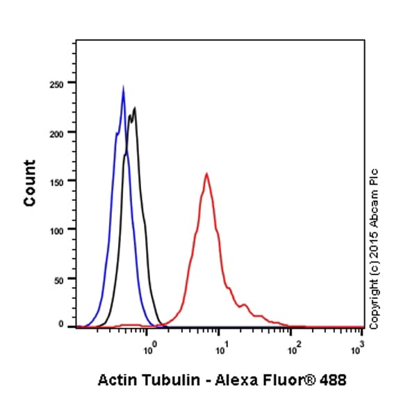 Anti-alpha Tubulin antibody - Microtubule Marker(AB18251)