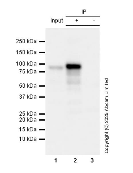 Mouse IgG1, kappa monoclonal [MOPC-21] - isotype control(AB18443)