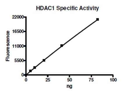 Recombinant human HDAC1 protein(AB104121)