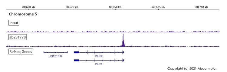 ChIP Kit (Transcription factors, ChIP-seq)(AB270813)
