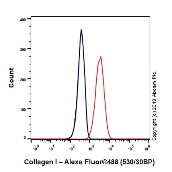 Anti-Collagen I antibody [EPR22894-89](ab260043)