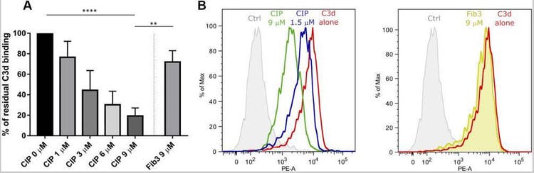 Flow cytometry analysis of C3d interaction with B cells. The graph shows the effect of complement interfering protein (CIP) on C3d binding.