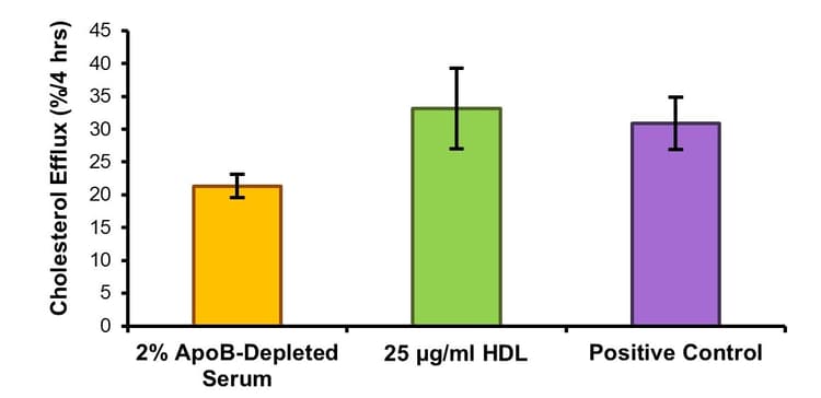 Cholesterol Efflux Assay Kit (Cell-based)(AB196985)