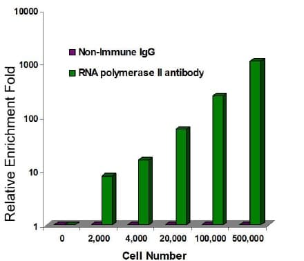 High-Sensitivity ChIP Kit(AB185913)