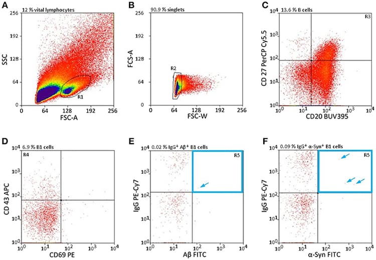 FITC Conjugation Kit (Fast) - Lightning-Link®(AB188285)