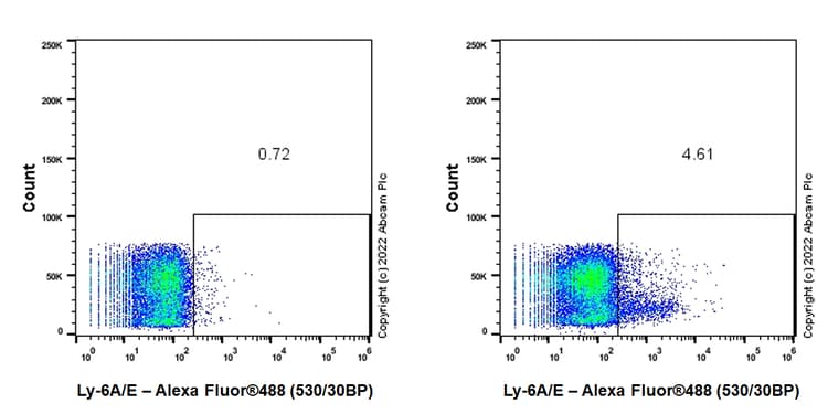 Alexa Fluor® 488 Anti-Ly-6A/E (Sca-1) antibody [EPR22502-38](AB306603)