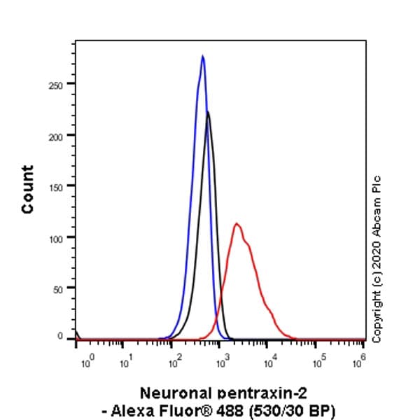 Anti-NPTX2 antibody [EPR24020-38] - BSA and Azide free(AB277533)