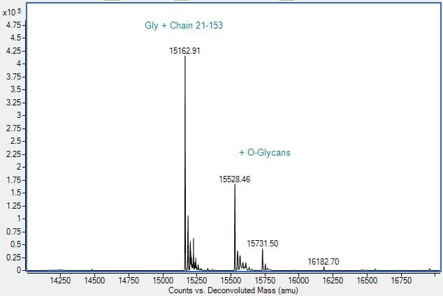 Recombinant Rabbit IL-2 Protein (Active)(AB307411)