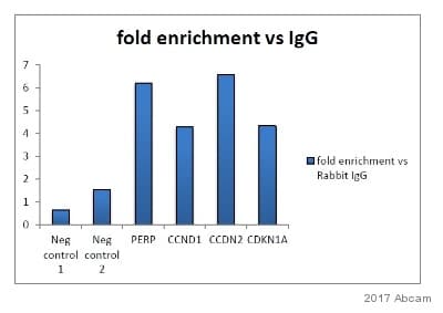 Anti-Histone H3 (tri methyl K27) antibody [mAbcam 6002] - ChIP Grade(AB6002)