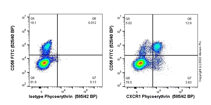 PE Rabbit IgG, monoclonal [EPR25A] - Isotype Control(AB209478)