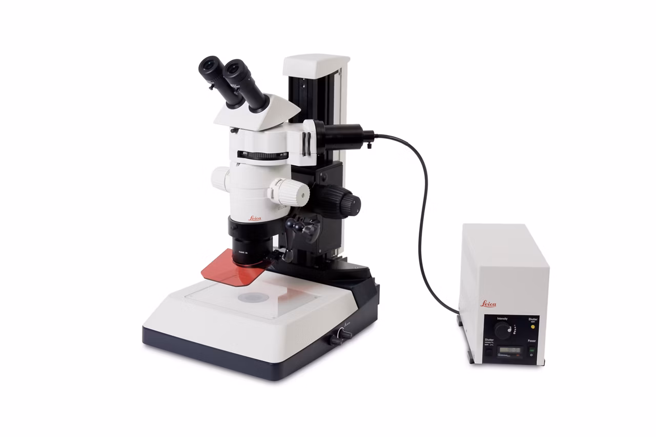 MZ10 F Modular Stereo Microscope