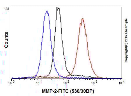 Anti-MMP2 antibody [EPR1184](AB92536)