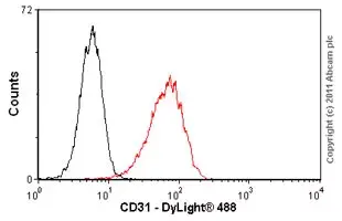 Anti-CD31 antibody [JC/70A](AB9498)