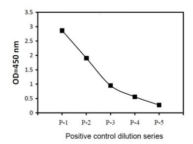 Phospho-c-Fos (T232) and Total c-Fos ELISA Kit(AB279758)