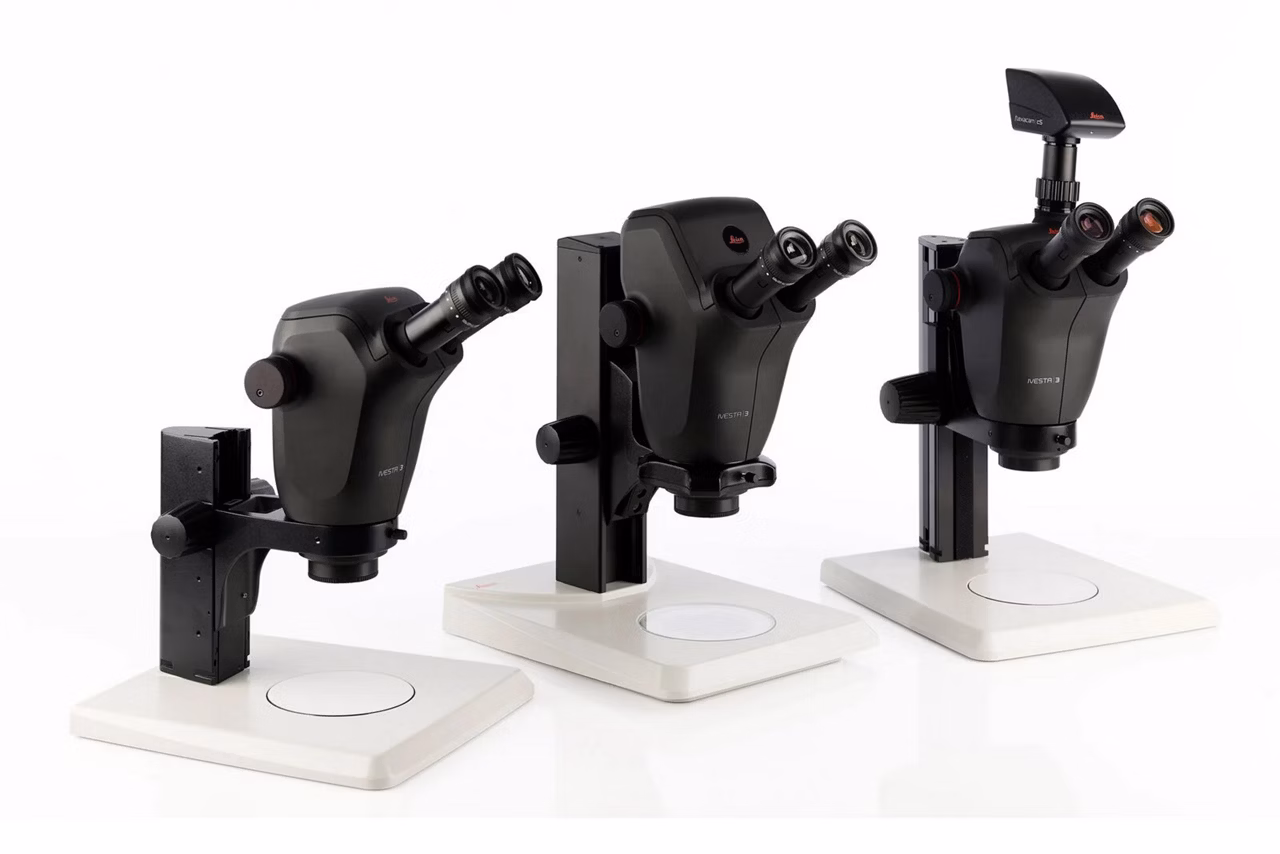 Leica Ivesta 3 Greenough Stereo Microscopes Hero