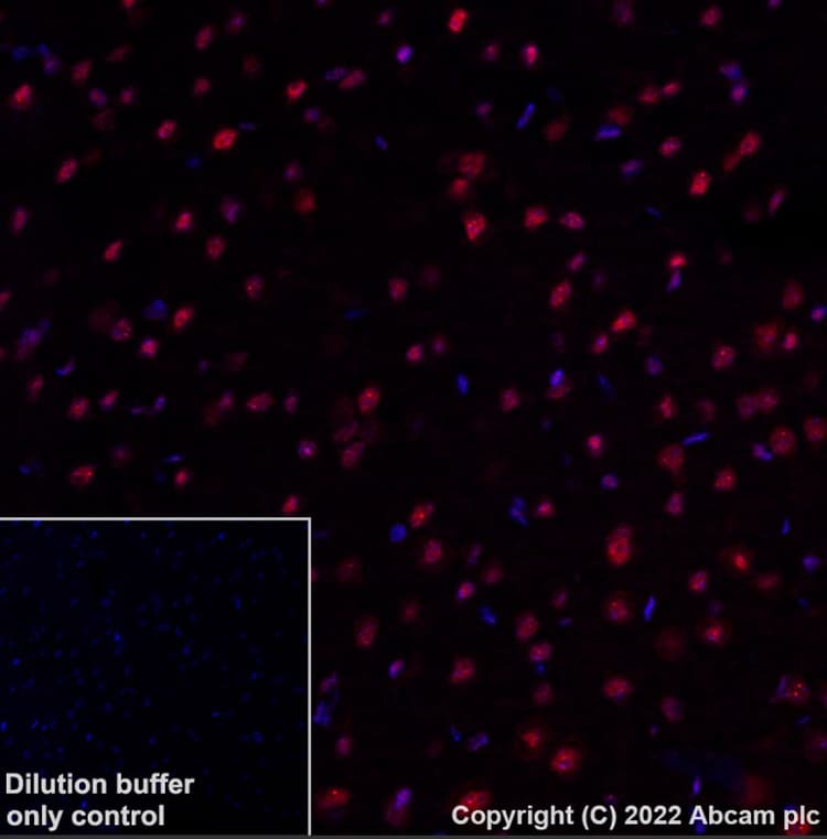 Antigen Retrieval Buffer (100X Tris-EDTA Buffer, pH 9.0)(AB93684)