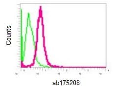 Anti-DOCK8 antibody [EPR12511](AB175208)
