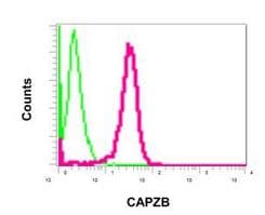 Capzb Antibody Epr10236 Ab175212  Flow Cytometry Intracellular Img37494
