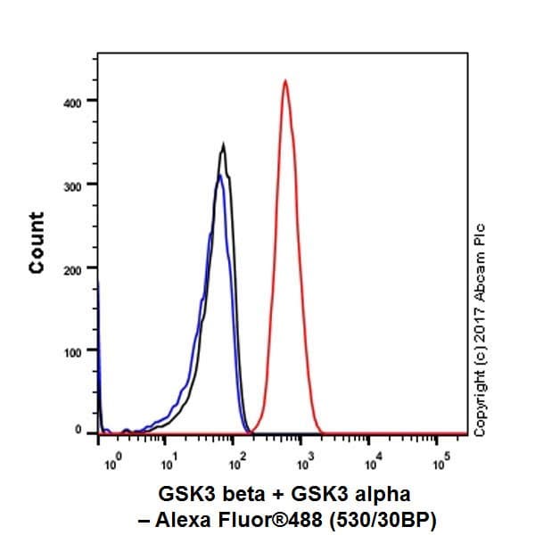 Anti-GSK3 beta + GSK3 alpha antibody [EPR18814-102] - BSA and Azide free(AB226169)