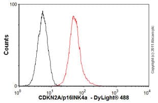 Anti-CDKN2A/p16INK4a antibody [2D9A12](AB54210)