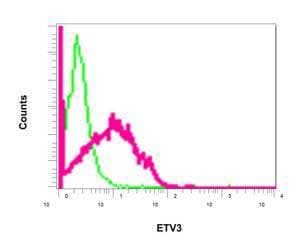 Anti-ETV3 antibody [EPR8658](AB154810)