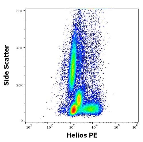 PE Anti-ZNFN1A2/HELIOS antibody [22F6](AB199397)