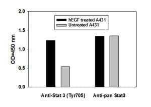 STAT3 (pY705) ELISA Kit(AB126458)