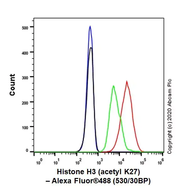 Anti-Histone H3 (acetyl K27) antibody [EP16602] - ChIP Grade(AB177178)