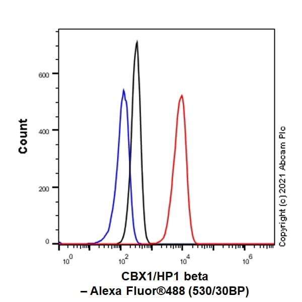 Anti-CBX1 / HP1 beta antibody [EPR24242-78](AB270988)