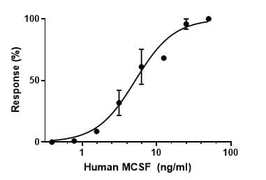 Recombinant human M-CSF protein (Active)(AB259396)