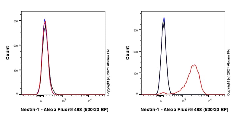 Anti-PVRL1/NECTIN1 antibody [EPR24275-102] - BSA and Azide free(AB283328)