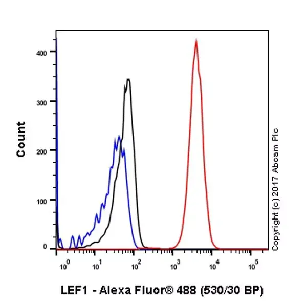 Anti-LEF1 antibody [EPR2029Y](AB137872)