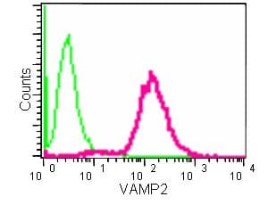 Vamp2 Antibody Epr12790 Bsa And Azide Free Ab214590  Flow Cytometry Intracellular Img54221
