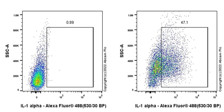 Anti-IL-1 alpha antibody [EPR25263-27](ab300499)